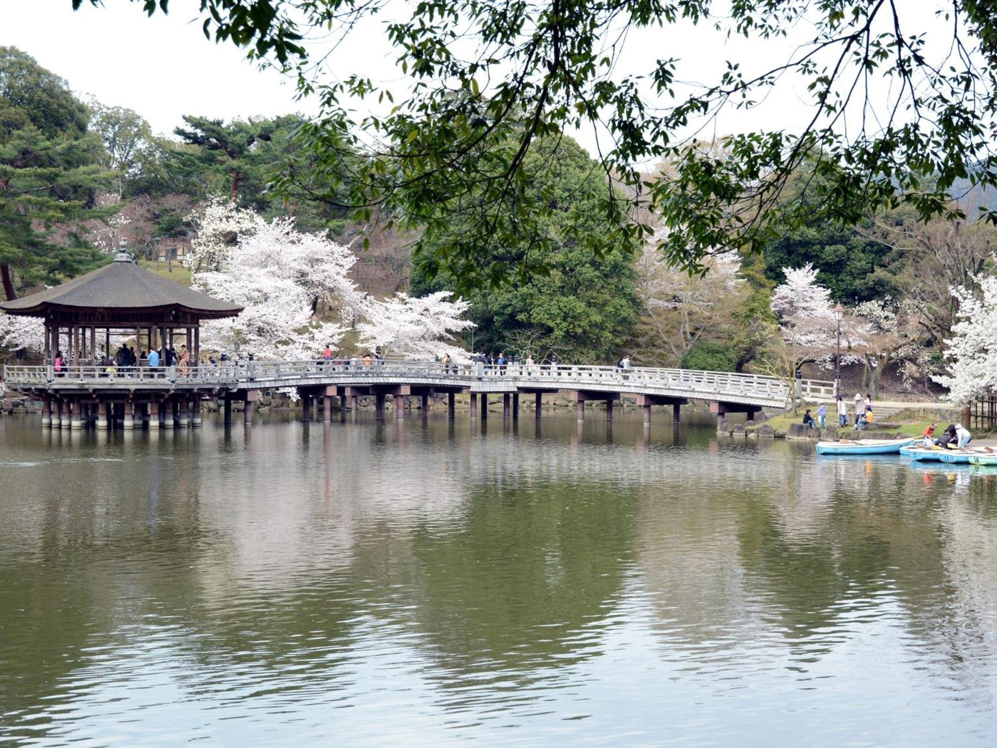 Nara - Hotel / Vacation Stay 47950 Exteriör bild