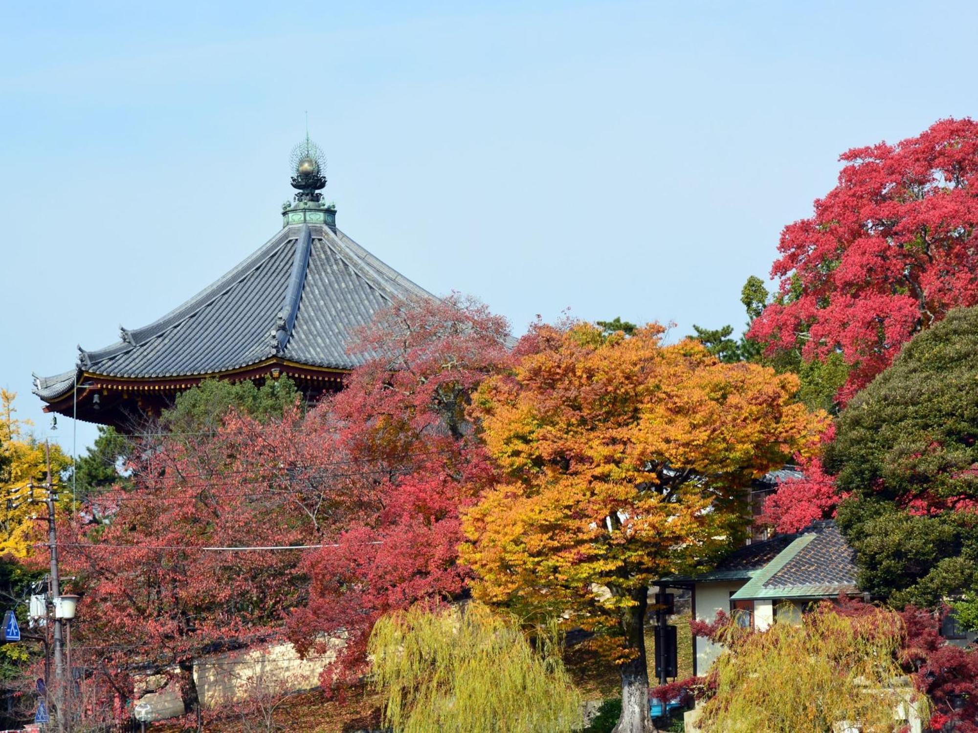 Nara - Hotel / Vacation Stay 47950 Exteriör bild
